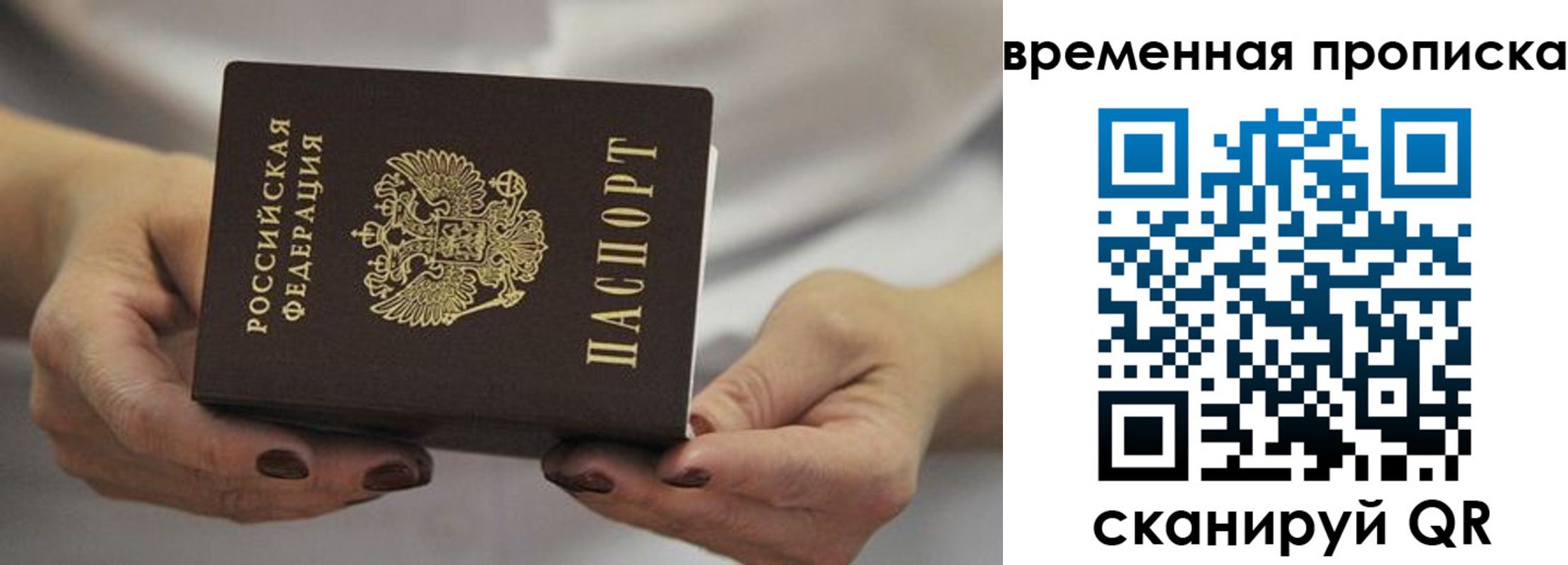 регистрация для школы в Владимирской области